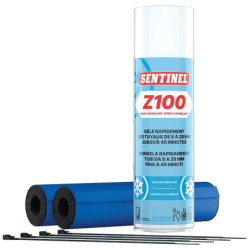 Kit congelant spray Z100 -...