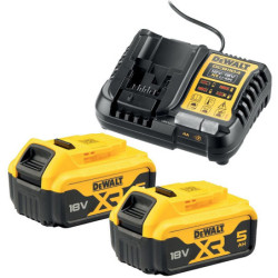 Pack 2 batteries XR 18V +...